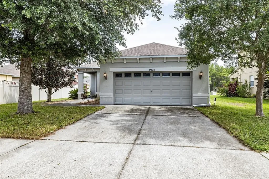 17843 Cunningham Court Land O Lakes FL 34638