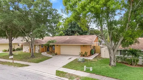 1071 Mineola Court Palm Harbor FL 34683