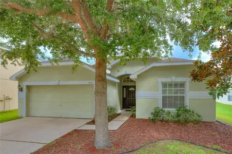 5827 Sweet William Terrace Land O Lakes FL 34639