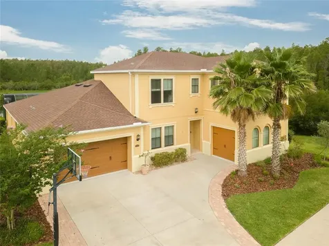 31976 Sandspirit Place Wesley Chapel FL 33543