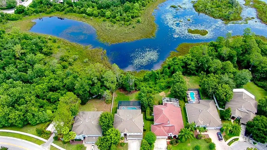 7406 Night Heron Drive Land O Lakes FL 34637