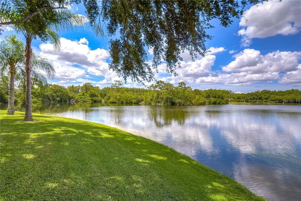 12804 Miramar Place Tampa FL 33625
