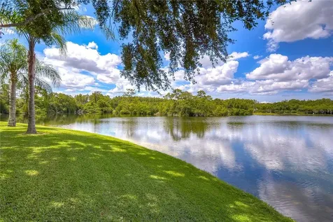 12804 Miramar Place Tampa FL 33625