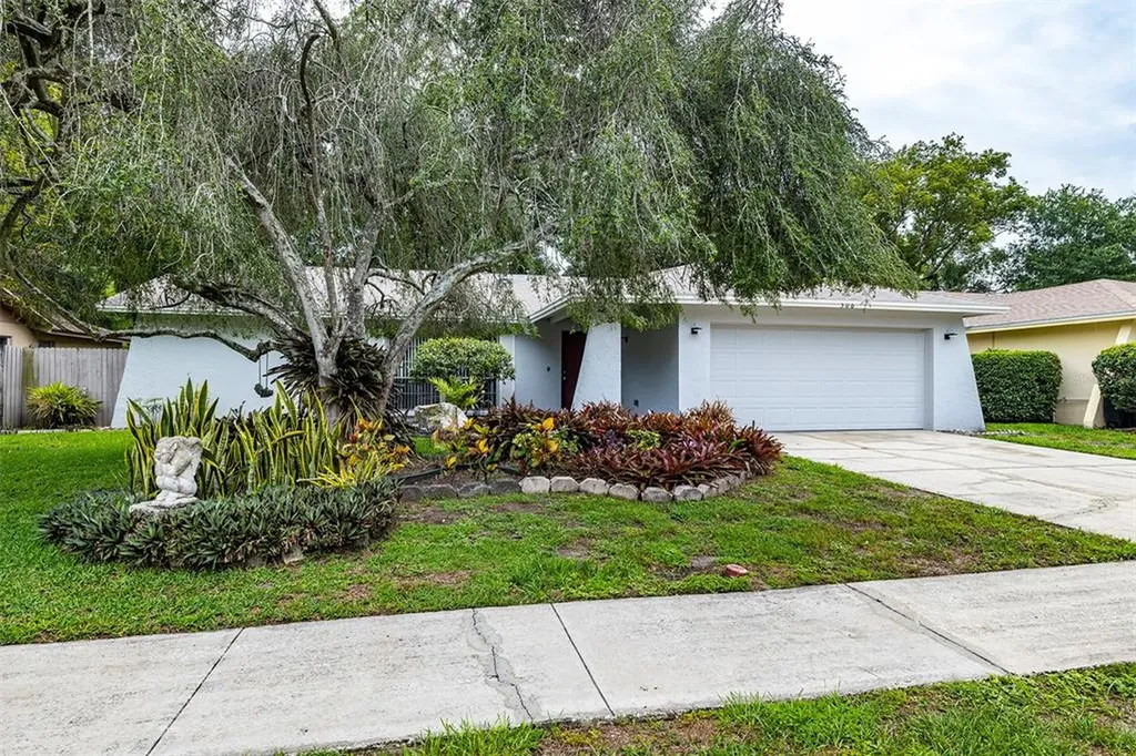 506 Constitution Drive Tampa FL 33613