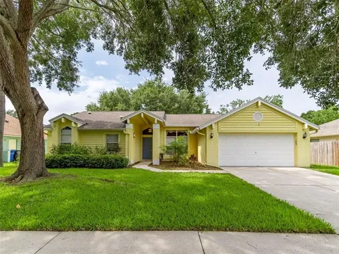 10307 Ashley Oaks Drive Riverview FL 33578