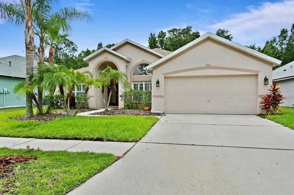 8267 Swann Hollow Drive Tampa FL 33647