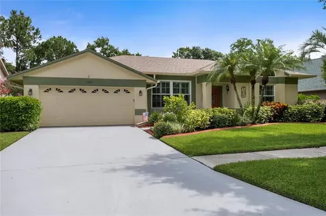 9226 Dayflower Drive Tampa FL 33647