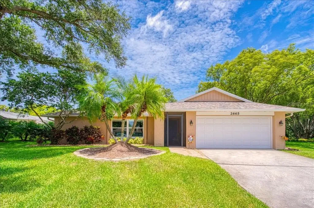 2665 Camille Drive Palm Harbor FL 34684
