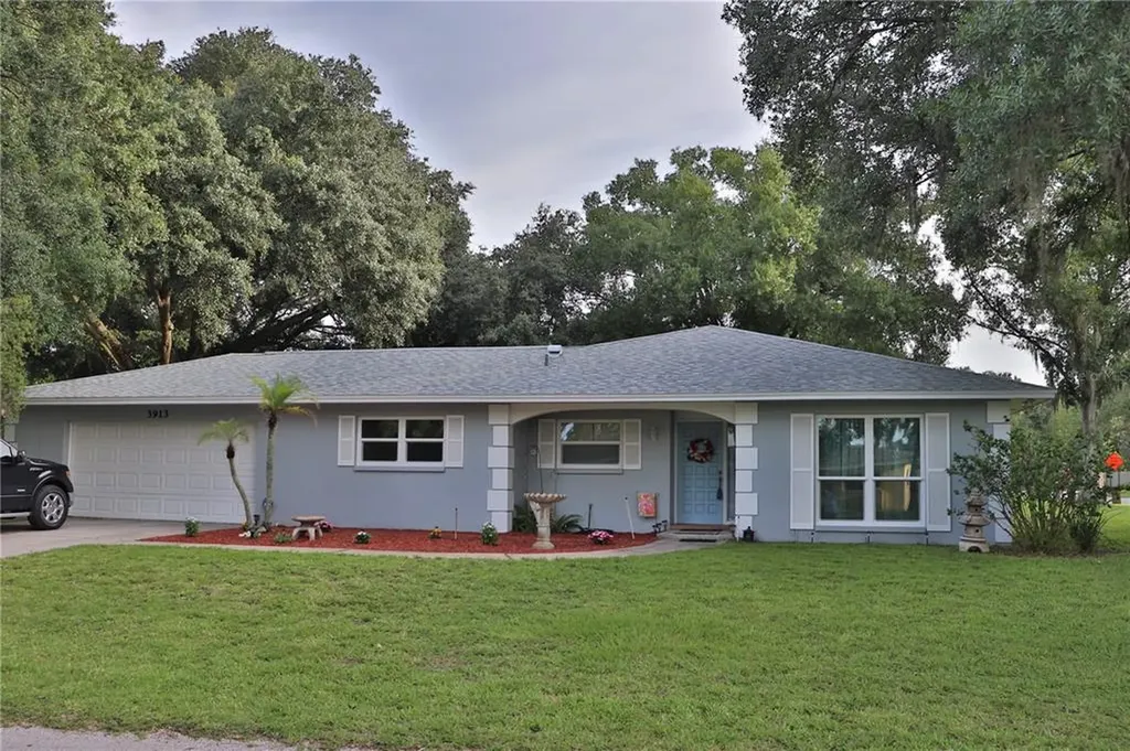 3913 Lake Joyce Drive Land O Lakes FL 34639