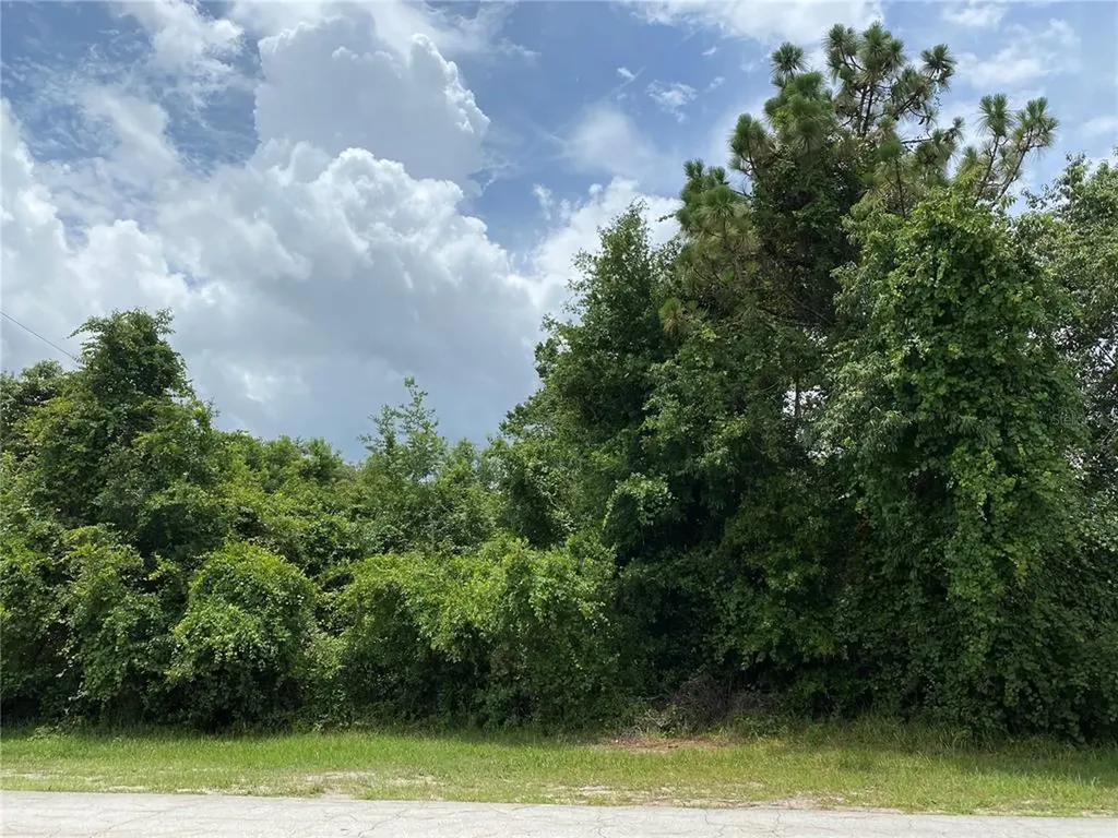 3449 Florentine Street Deltona FL 32738
