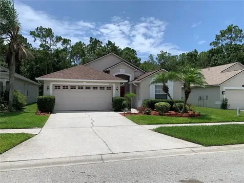 12514 Blazing Star Drive Tampa FL 33626