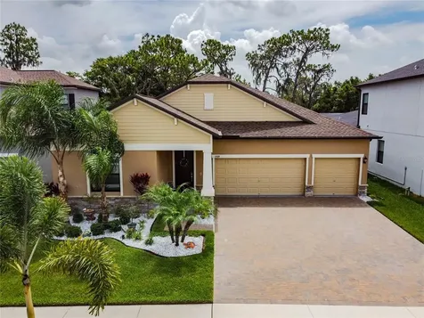 13309 Orca Sound Drive Riverview FL 33579