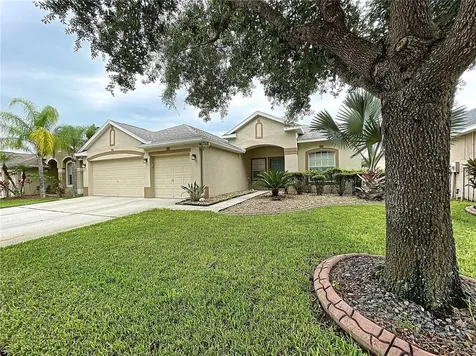 1425 Emerald Hill Way Valrico FL 33594