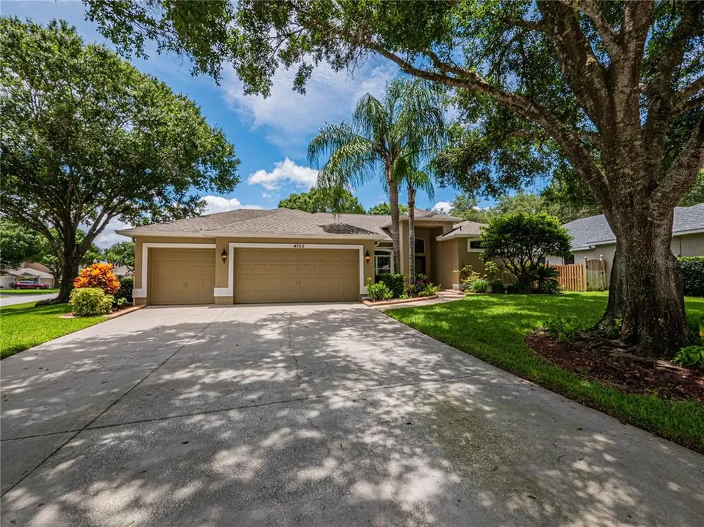 4705 Marsh Hawk Court Valrico FL 33596