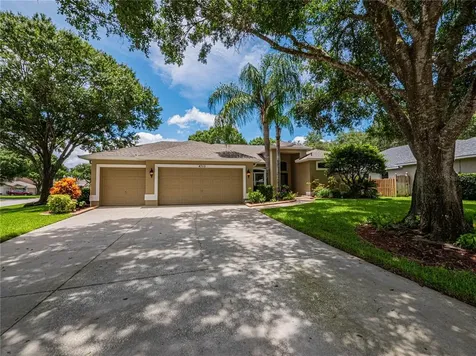 4705 Marsh Hawk Court Valrico FL 33596