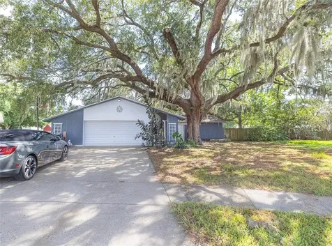 3811 Lake Grove Court Brandon FL 33511