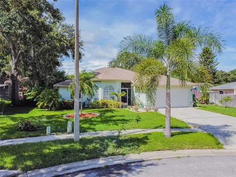4890 Harbor Woods Drive Palm Harbor FL 34683
