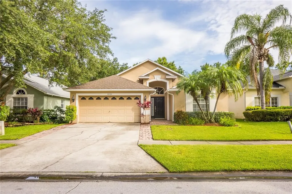 12525 Blazing Star Drive Tampa FL 33626