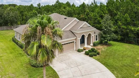 8955 Crystal Creek Court Land O Lakes FL 34638