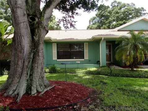 3109 Glenwood Court Safety Harbor FL 34695