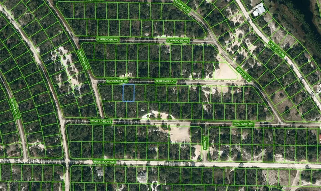 415 Surrender Court Lake Placid FL 33852