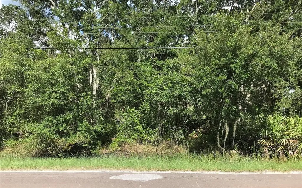 6102 N Dormany Road Plant City FL 33565