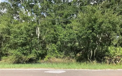 6102 N Dormany Road Plant City FL 33565