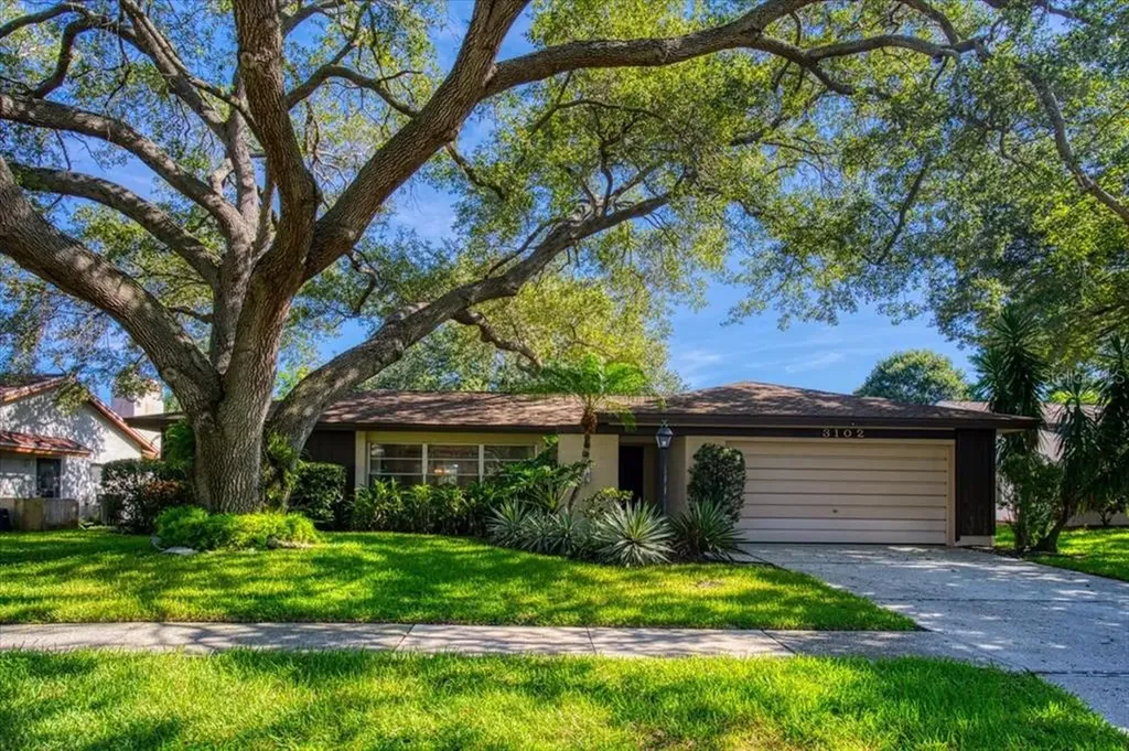 3102 Blue Heron Street Safety Harbor FL 34695