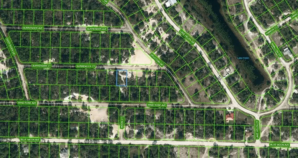 429 Surrender Court Lake Placid FL 33852
