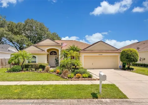 24404 Rolling View Court Lutz FL 33559