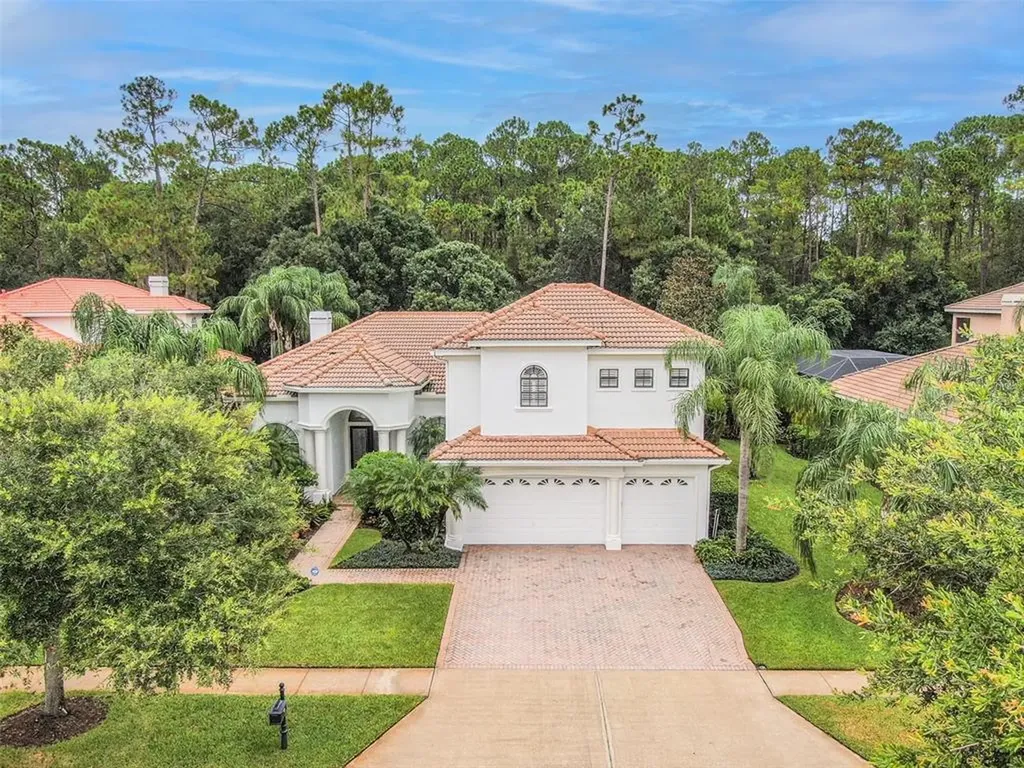 9519 Tree Tops Lake Road Tampa FL 33626