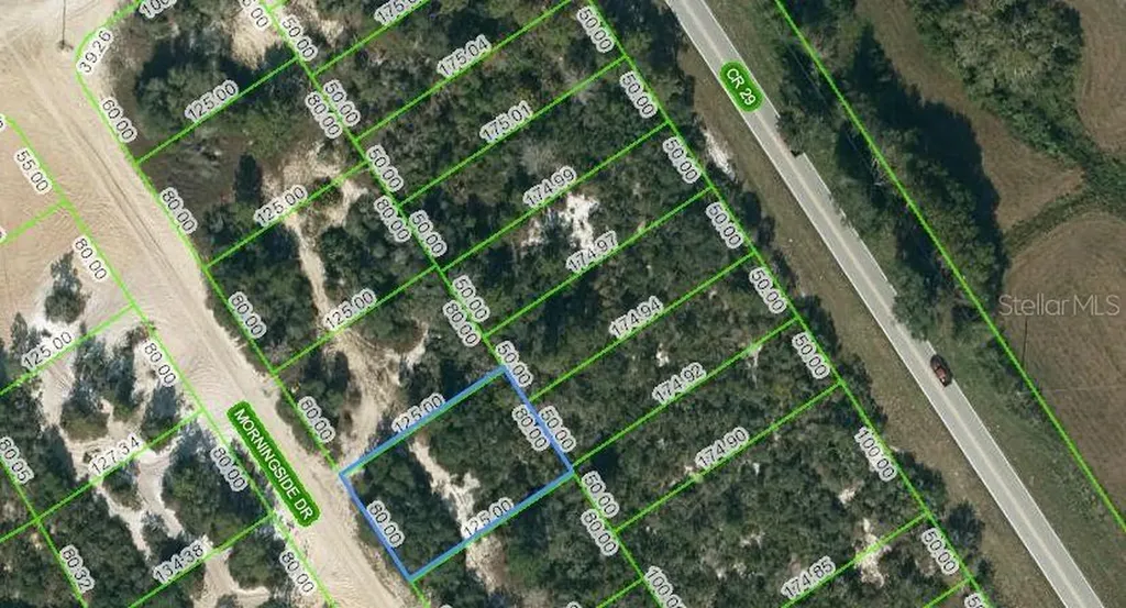 712 Morningside Drive Lake Placid FL 33852