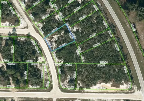 752 Morningside Drive Lake Placid FL 33852