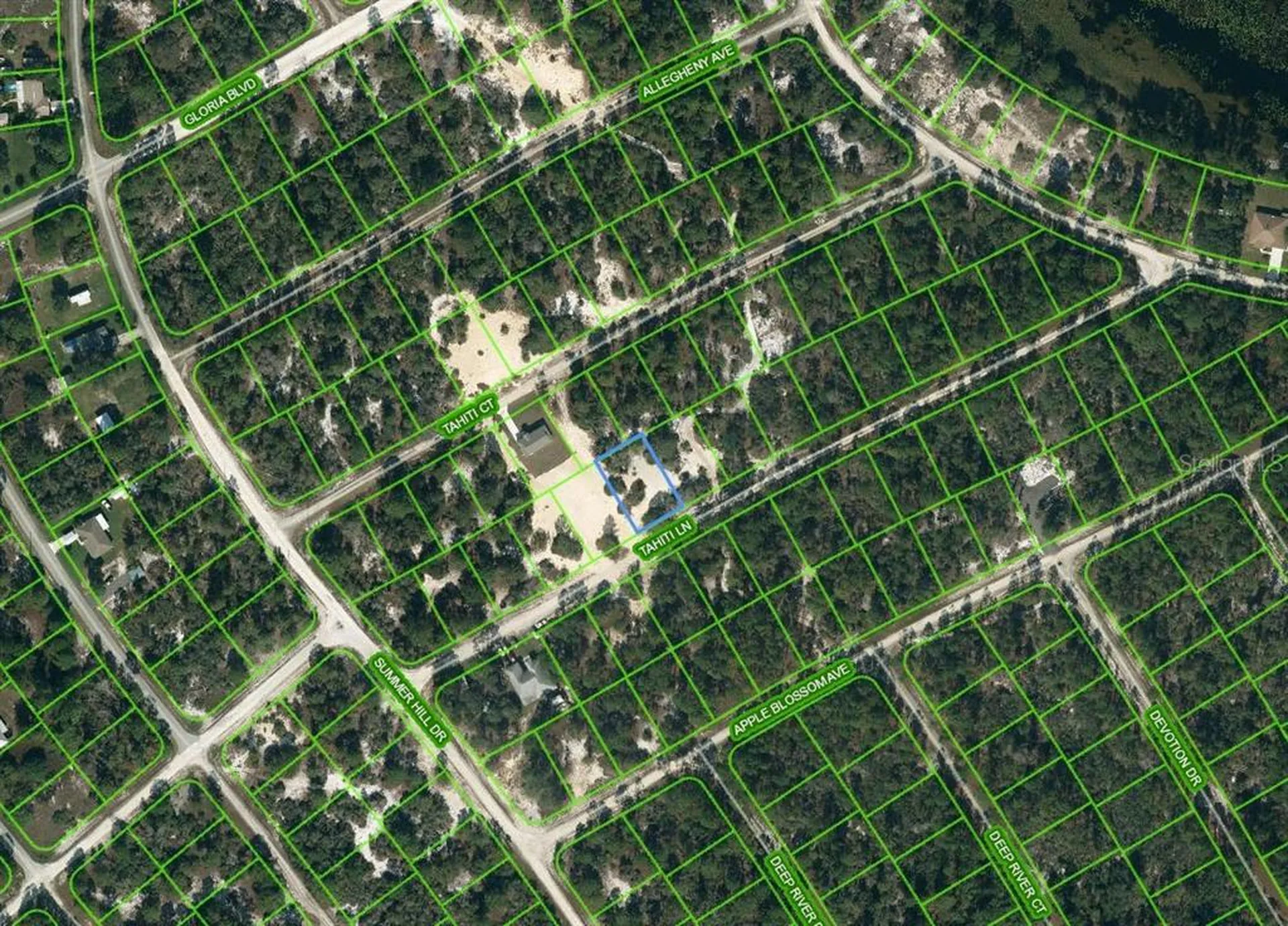 410 Tahiti Lane Lake Placid FL 33852
