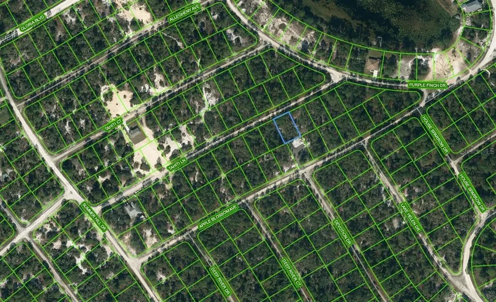 423 Tahiti Lane Lake Placid FL 33852