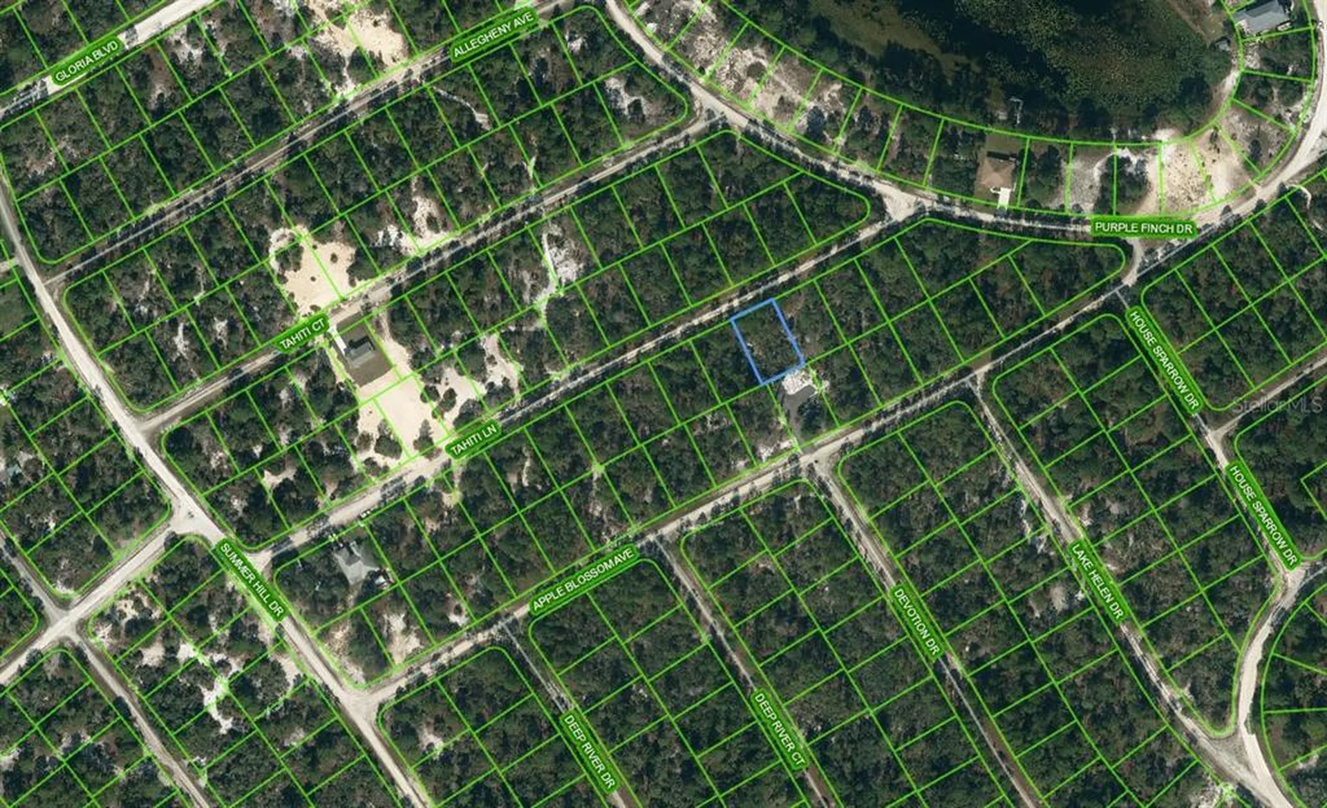 423 Tahiti Lane Lake Placid FL 33852