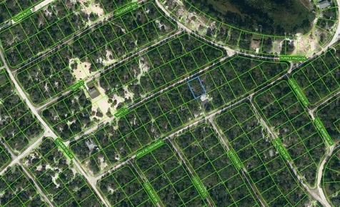423 Tahiti Lane Lake Placid FL 33852