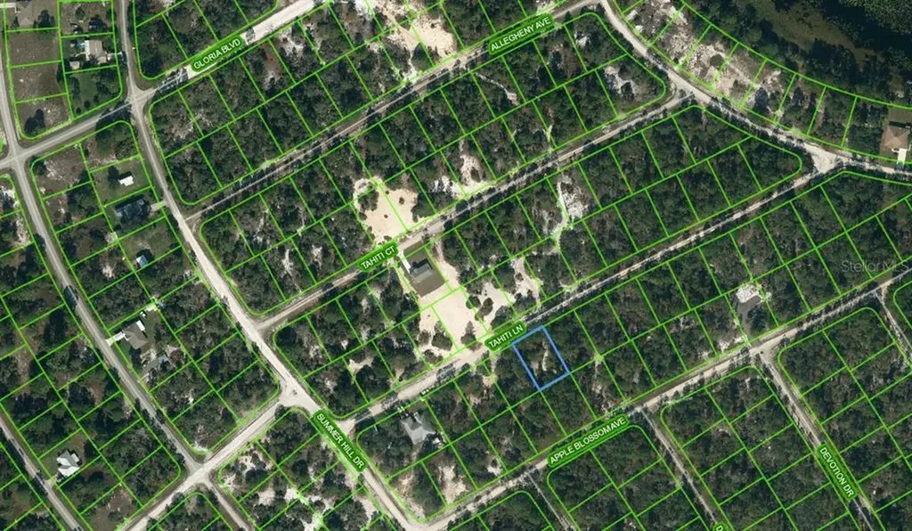 411 Tahiti Lane Lake Placid FL 33852