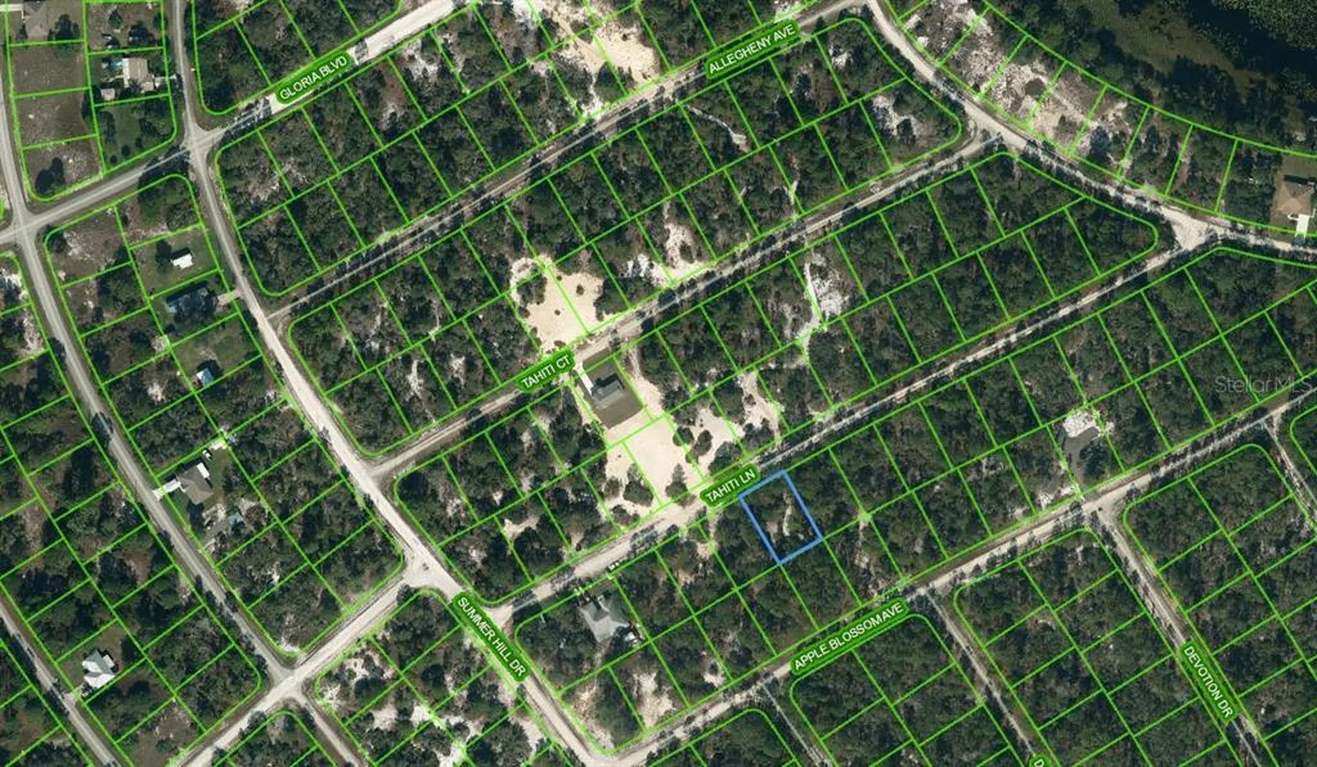 411 Tahiti Lane Lake Placid FL 33852