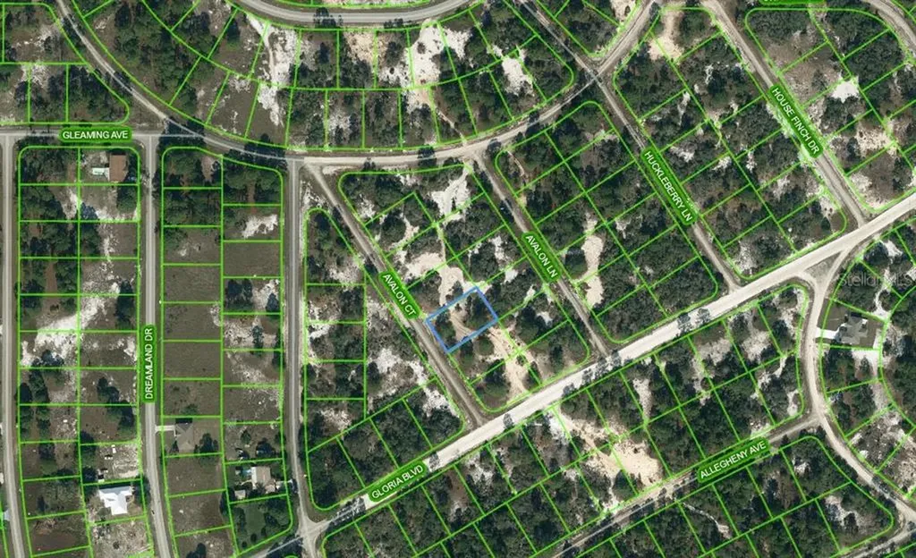 605 Avalon Court Lake Placid FL 33852