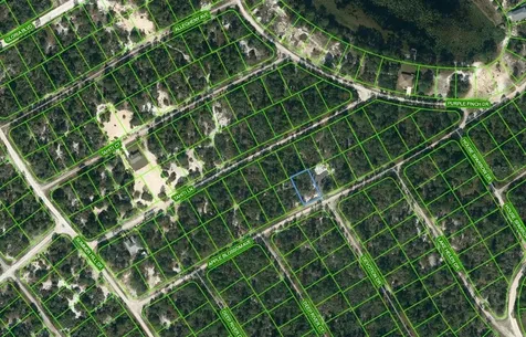 420 Apple Blossom Court Lake Placid FL 33852