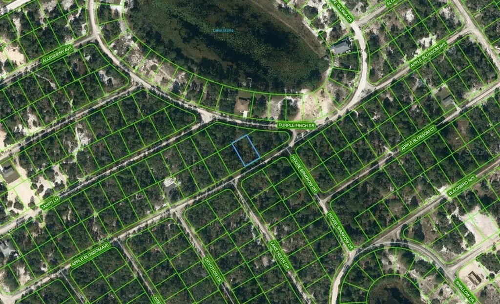 432 Apple Blossom Court Lake Placid FL 33852