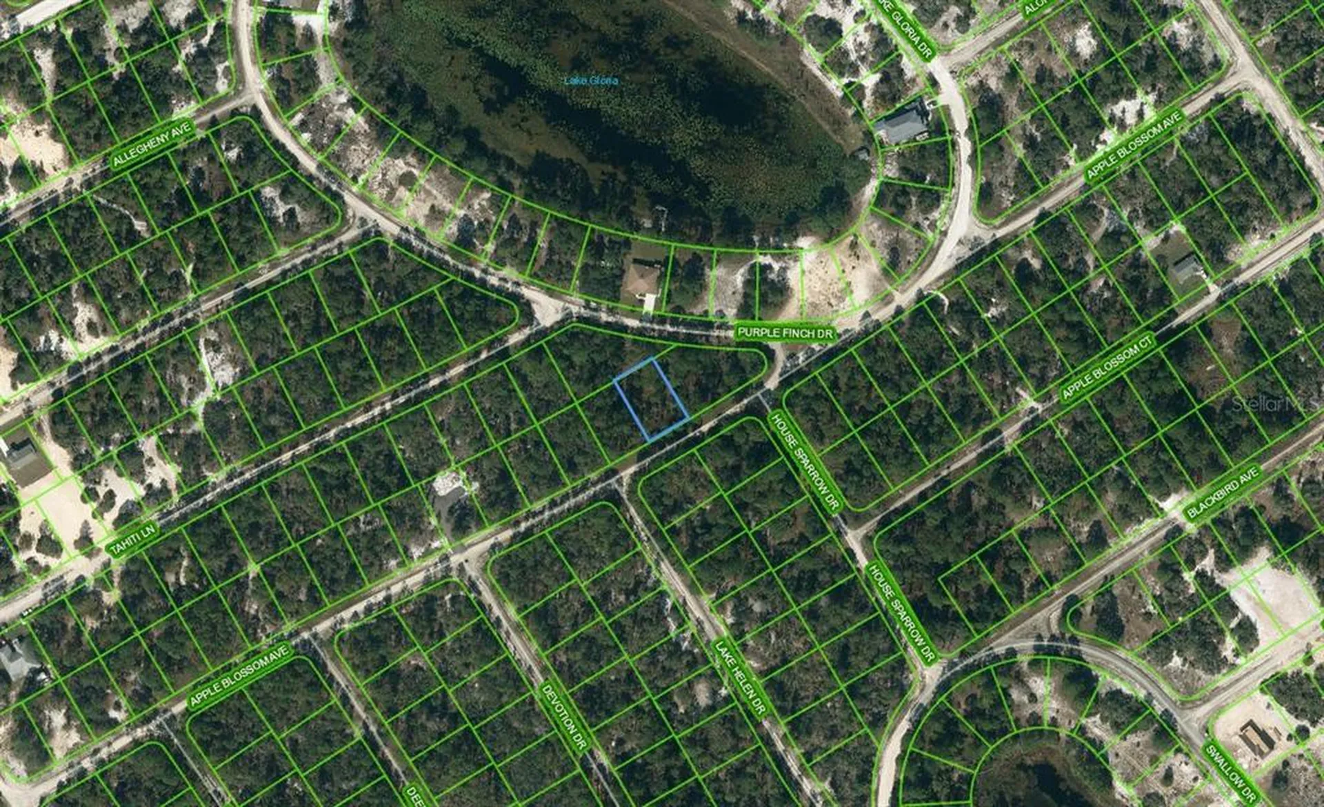 432 Apple Blossom Court Lake Placid FL 33852