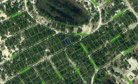 432 Apple Blossom Court Lake Placid FL 33852