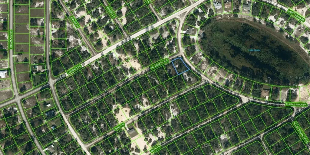 425 Allegheny Avenue Lake Placid FL 33852