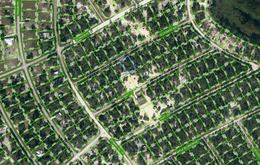 411 Allegheny Avenue Lake Placid FL 33852