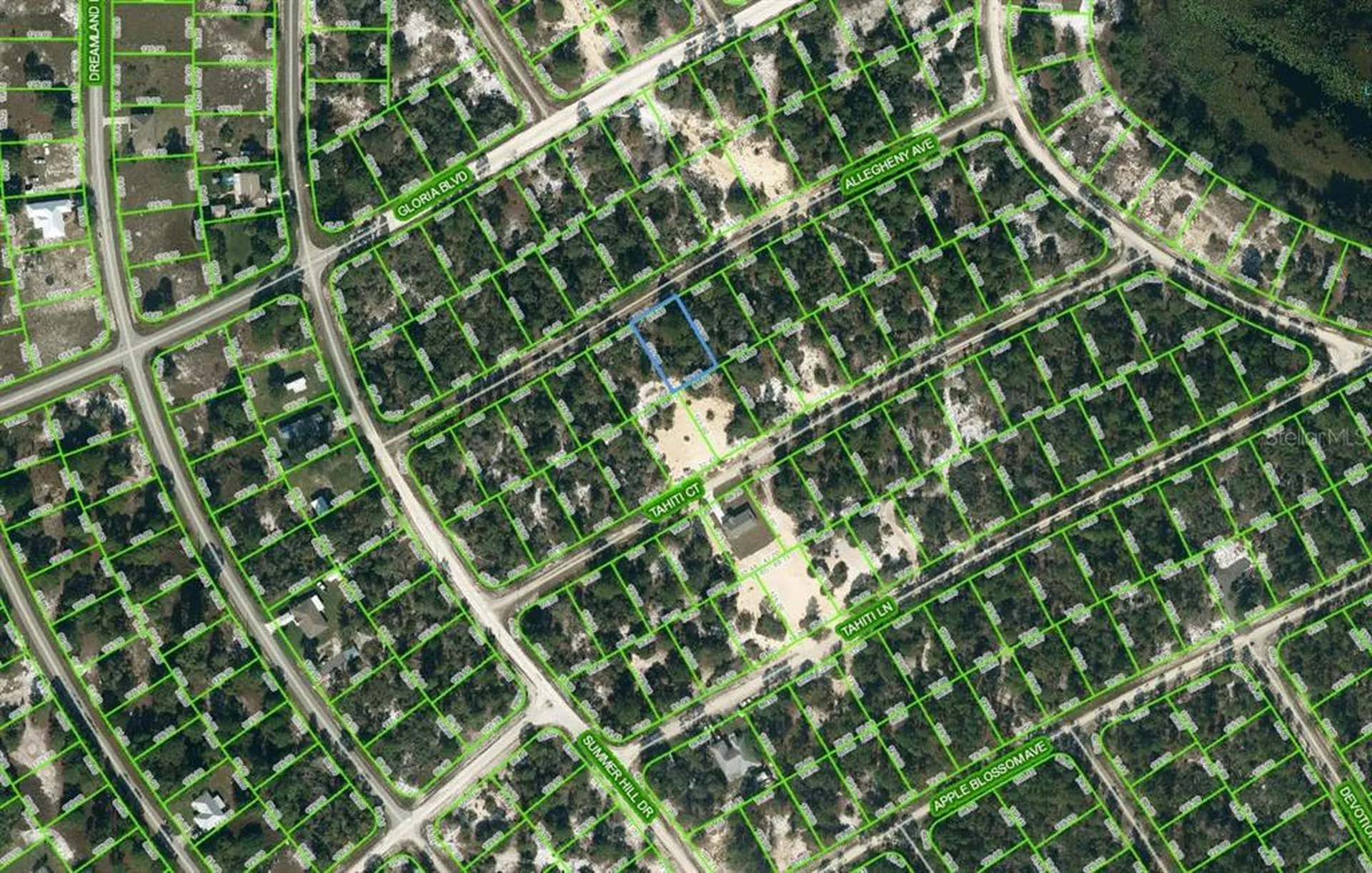 411 Allegheny Avenue Lake Placid FL 33852