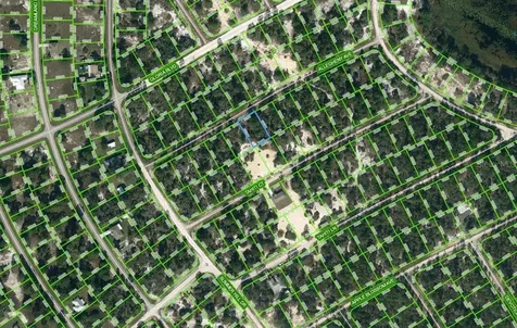411 Allegheny Avenue Lake Placid FL 33852