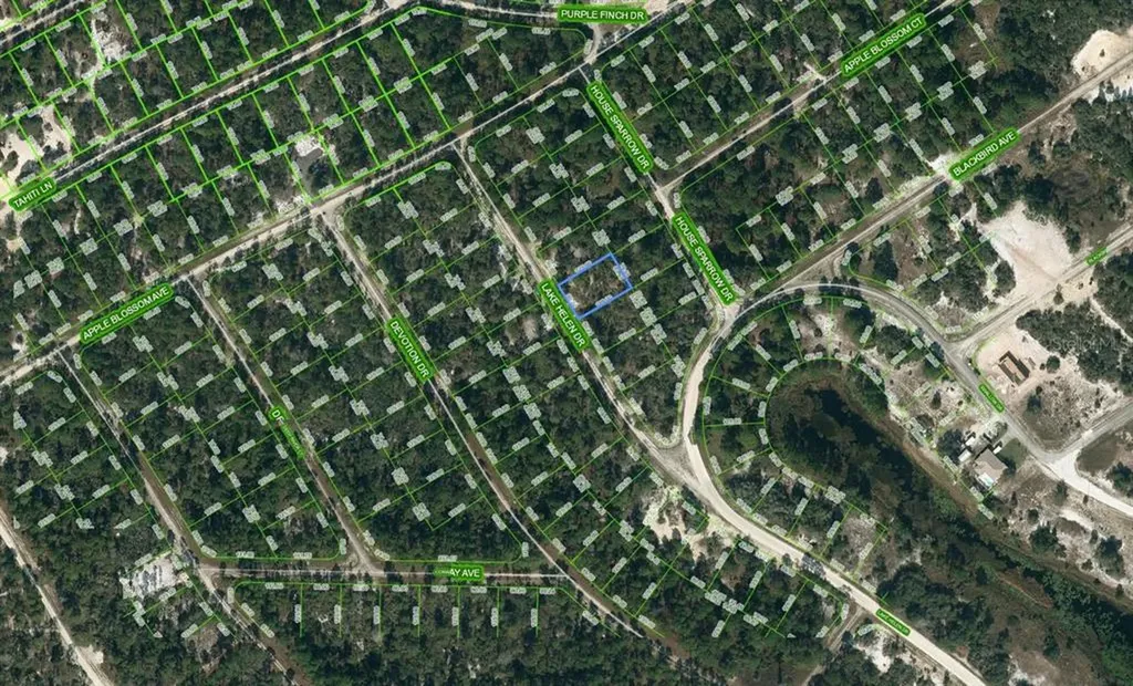 519 Lake Helen Drive Lake Placid FL 33852