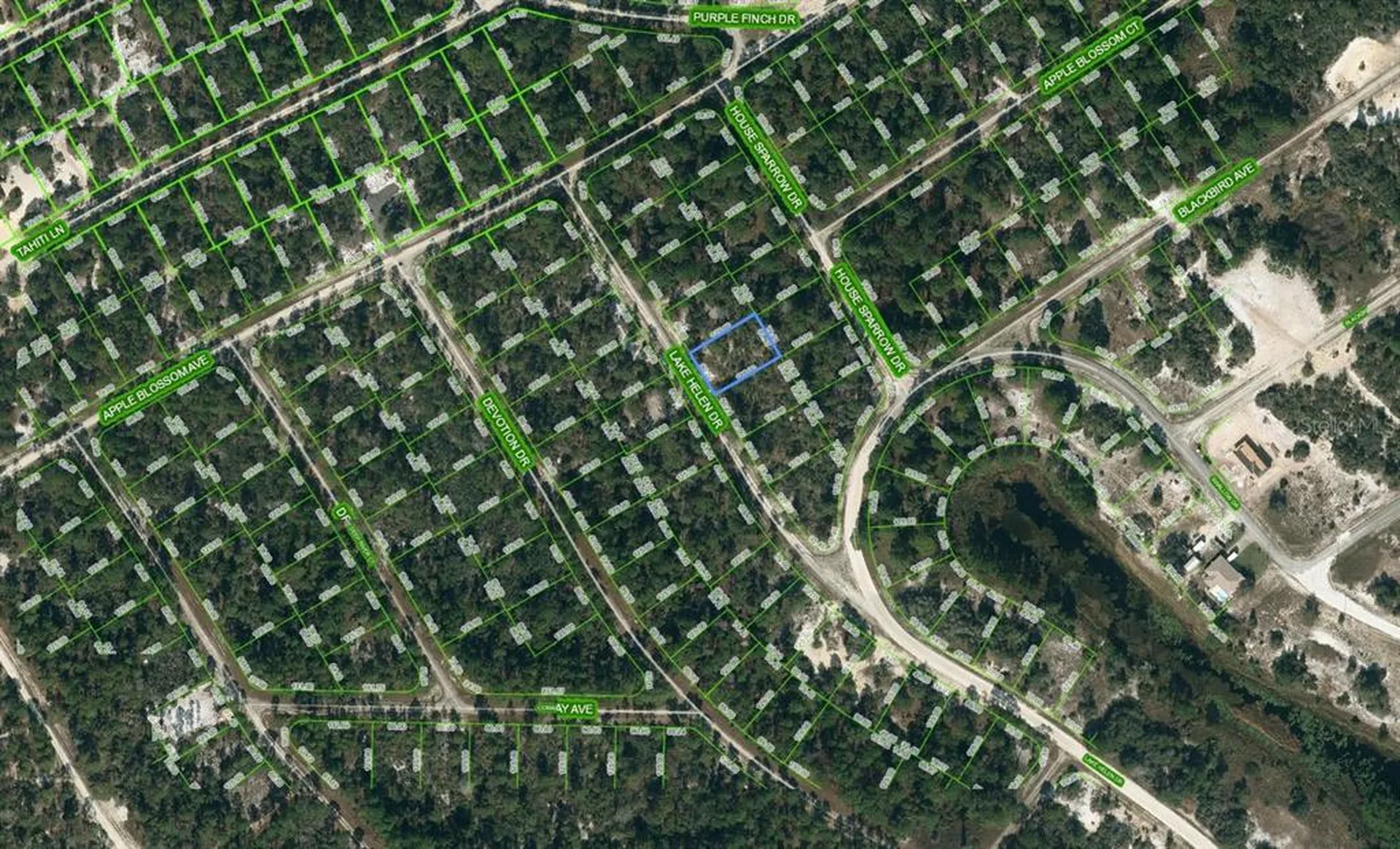 519 Lake Helen Drive Lake Placid FL 33852